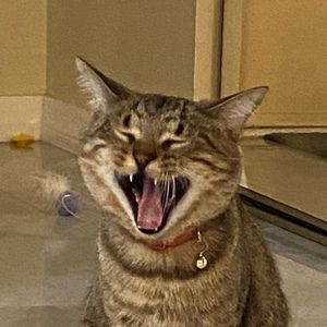 Meet your Posher, Riah